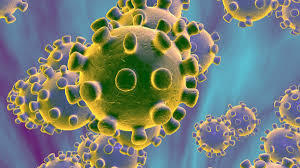 Corona virus: le istruzioni per le cooperative La Federazione ha inviato una circolare alle cooperative socie - firmata dalla presidente del collegio sindacale Patrizia Gentil e dal direttore generale Alessandro Ceschi - per riassumere le disposizioni emanate dall'ordinanza del Presidente della provincia autonoma di Trento. Va ribadito che allo stato attuale non esiste in Trentino alcuna emergenza sanitaria ed è quindi fondamentale considerare tutte le iniziative assunte quali strumenti di carattere preventivo.
