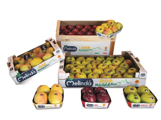 Melinda sempre più green I nuovi stili di vita sono sempre più attenti e consapevoli della necessità di rispettare e preservare la natura che ci circonda, anche attraverso pratiche che prevedano l’utilizzo di confezioni per gli alimenti a ridotto impatto sull’ambiente perché riciclabili o compostabili.