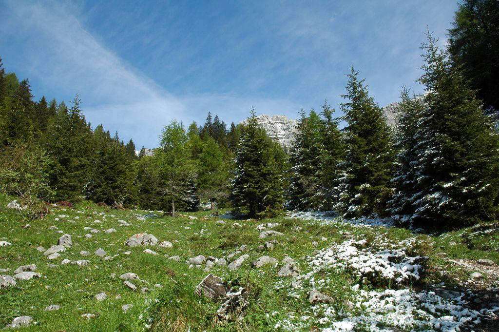 894.000 euro per la biodiversità e il recupero degli habitat agricoli di alto valore naturalistico Finanziare iniziative volte a migliorare la biodiversità dei paesaggi agricoli ed a ripristinare gli habitat di alto valore naturalistico. E’ uno degli obiettivi del Piano di sviluppo rurale 2014-2020, nell'ambito del quale sono previsti quest'anno due bandi.