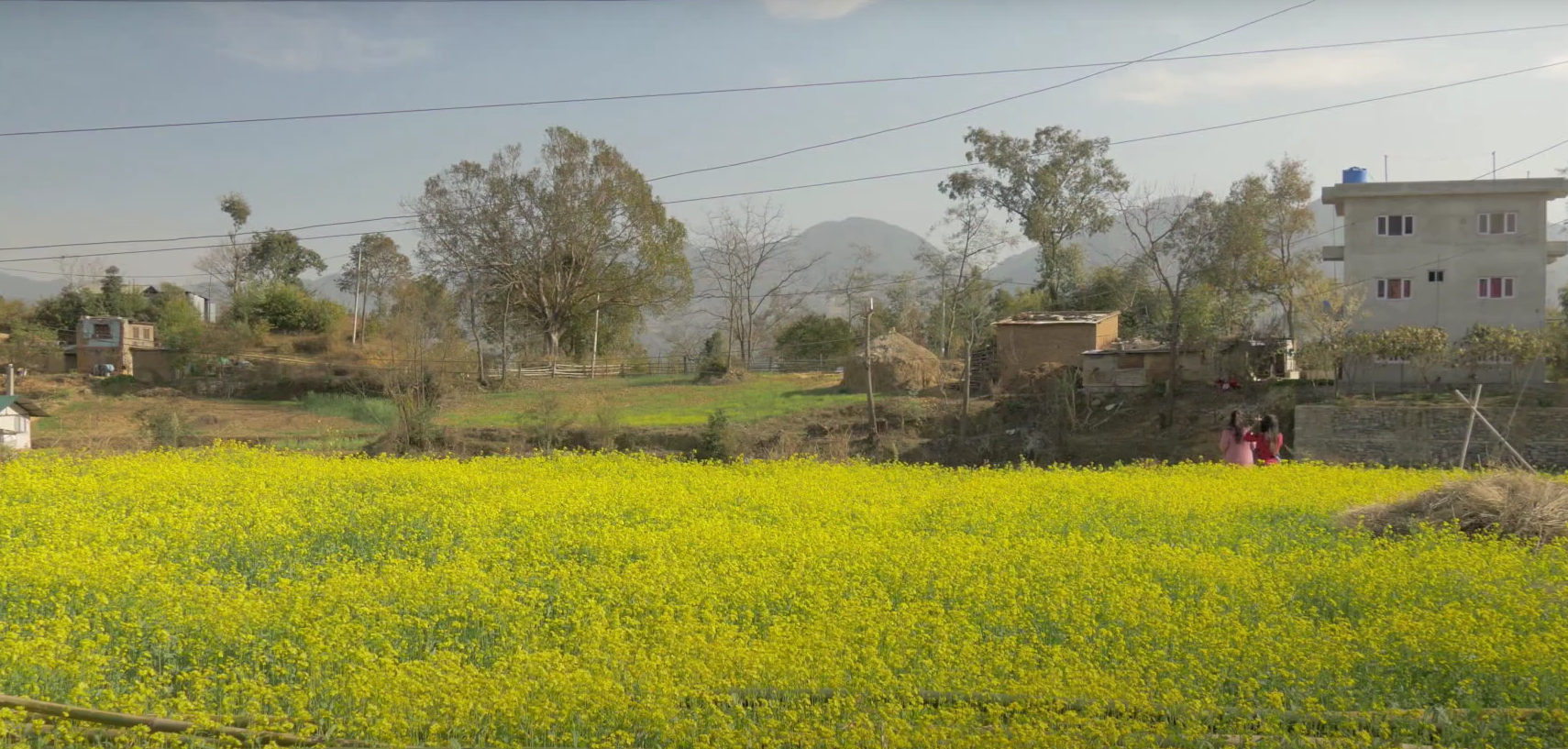 Dal Trentino a Kathmandu storie di cooperazione al femminile Mercoledì 10 marzo il cineforum online organizzato da Euricse e Associazione Donne in Cooperazione.
