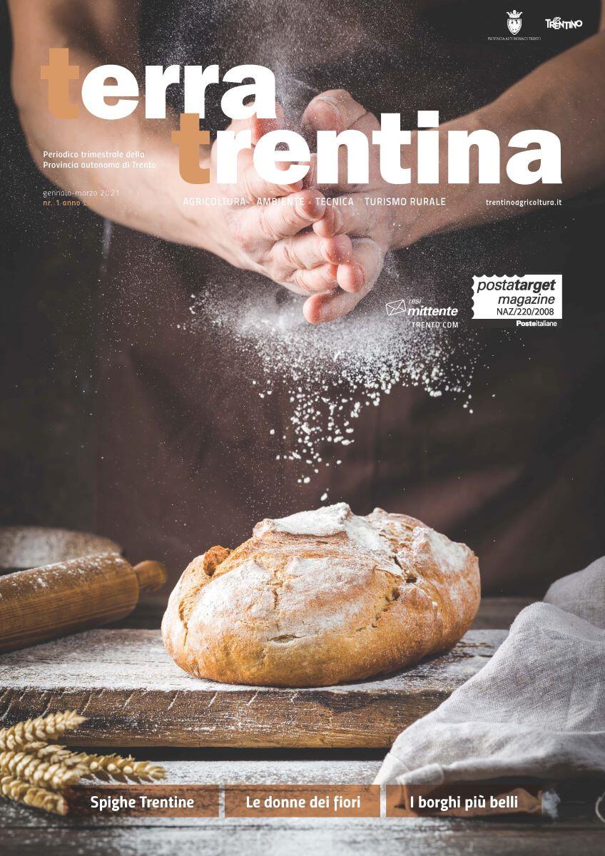 Terra Trentina dedicato alle Sarà a breve nelle case dei suoi abbonati il primo numero del 2021 di "Terra Trentina", periodico della Provincia che parla di agricoltura, ambiente e turismo. Tanti gli argomenti affrontati in questo numero primaverile, a partire dallo speciale dedicato alle "spighe trentine", ovvero alle tante coltivazioni di cereali in Trentino, a chi trasforma i cereali, panifici, mulini, pastifici, fino ai progetti speciali, sostenibili o gluten free.