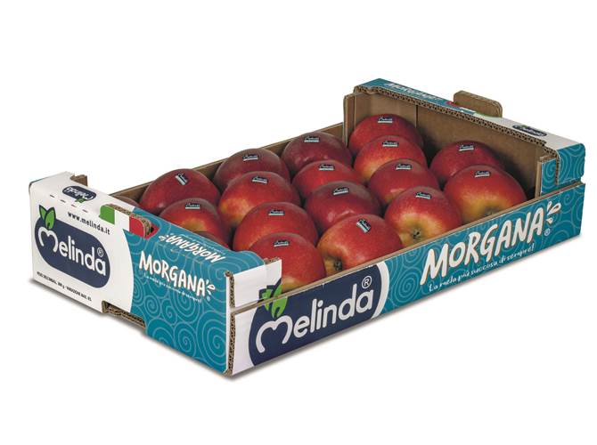 Nuovo lancio a Fruit Attraction, Morgana conquista Madrid Melinda, uno dei quattro partner del Mag, presenta in anteprima "la mela più succosa di sempre".