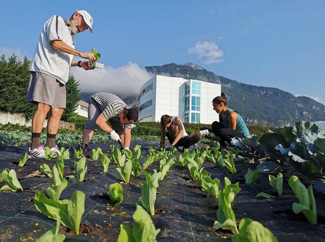 “Mi coltivo”: in Polo Meccatronica arriva l’orto sociale della cooperativa Villa Maria Su una superficie di 7 mila metri quadrati, tra ProM Facility e lo stabilimento Bonfiglioli, verrà lavorato da 14 ragazzi con disabilità assieme ad educatori e volontari.
