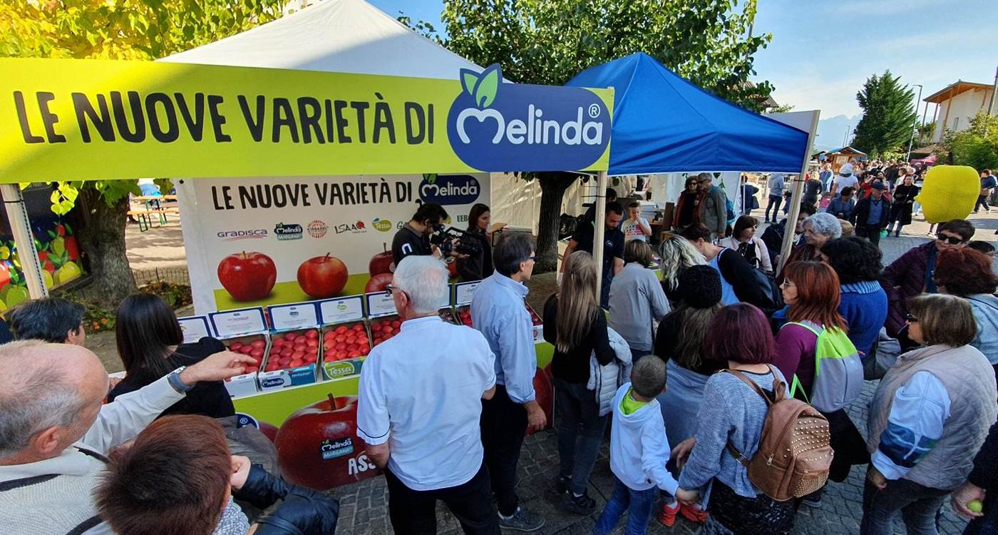 Anche la Provincia Autonoma di Trento crede nel progetto e lo sostiene con un importante contributo che abbatterà il costo di impianto delle singole piante avvantaggiando economicamente i frutticoltori.