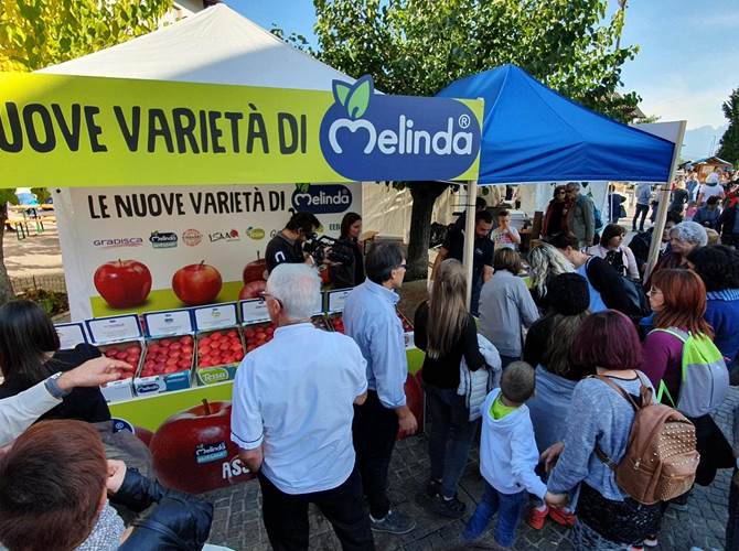 Per il prossimo futuro Melinda punta sulle nuove varietà di mele Anche la Provincia Autonoma di Trento crede nel progetto e lo sostiene con un importante contributo che abbatterà il costo di impianto delle singole piante avvantaggiando economicamente i frutticoltori.