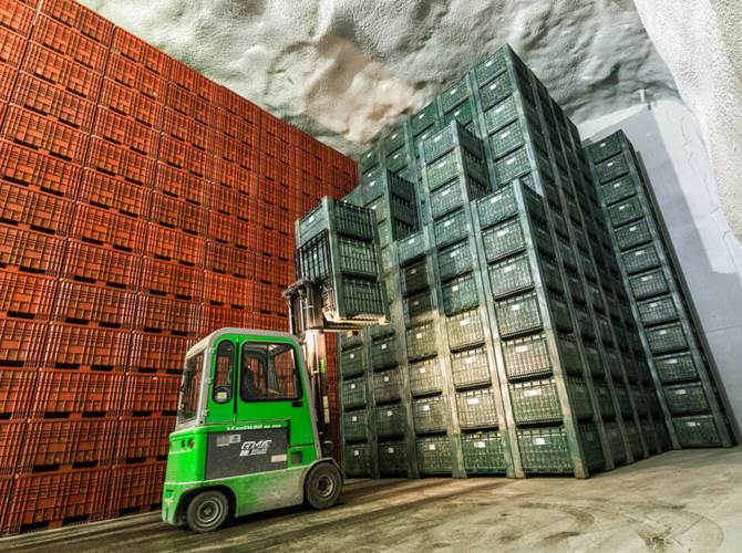 Melinda e la Trentina a Macfrut digital Dall’8 al 10 settembre 2020 Melinda non mancherà a questa particolare edizione di Macfrut online, dedicato agli operatori professionali del settore.