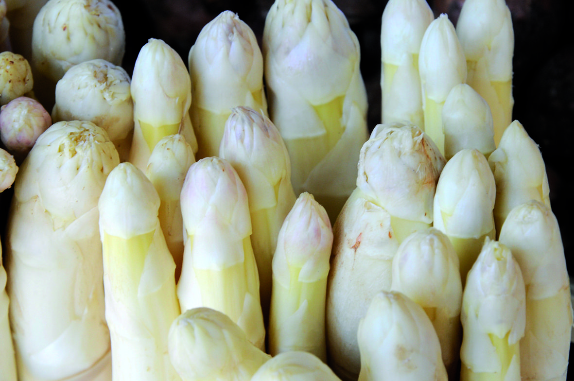 Nella famiglia dei prodotti agroalimentari a marchio &quot;Qualità Trentino&quot; entra anche l'asparago bianco trentino, sia come prodotto fresco che trasformato. Lo ha deciso la Giunta provinciale, che ha approvato il relativo disciplinare.